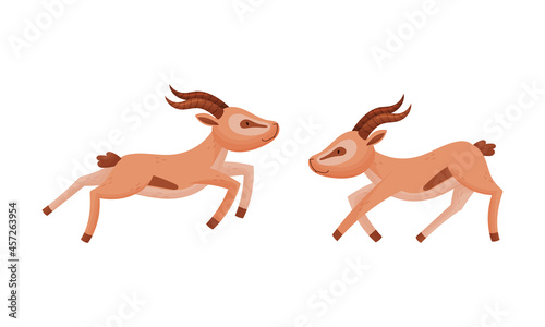 Running and Jumping African Gazelle as Fawn-colored Antelope Species with Curved Horn Vector Set