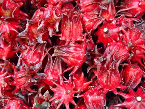 Background and texture of red roselle (Hibiscus sabdariffa)