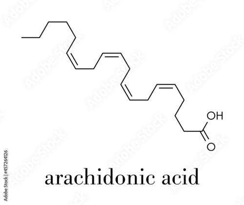 Arachidonic acid molecule. Polyunsaturated omega-6 fatty acid that is a precursor of prostaglandins, prostacyclin, thromboxanes, leukotrienes and anandamide. Skeletal formula.
