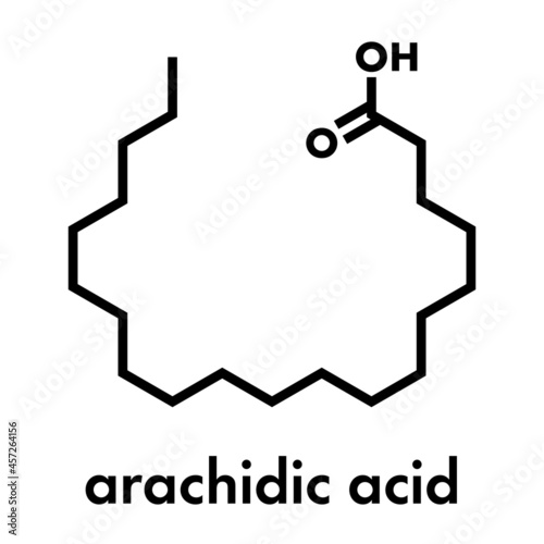 Arachidic (eicosanoic) acid molecule. Saturated fatty acid. Skeletal formula.