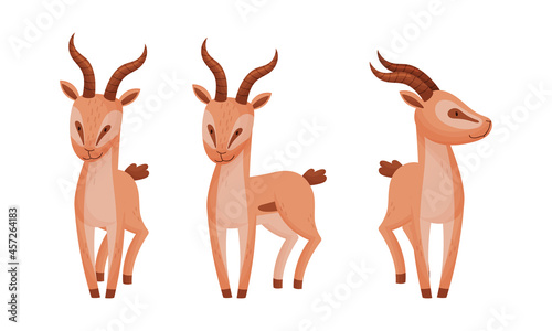 Standing African Gazelle as Fawn-colored Antelope Species with Curved Horn Vector Set