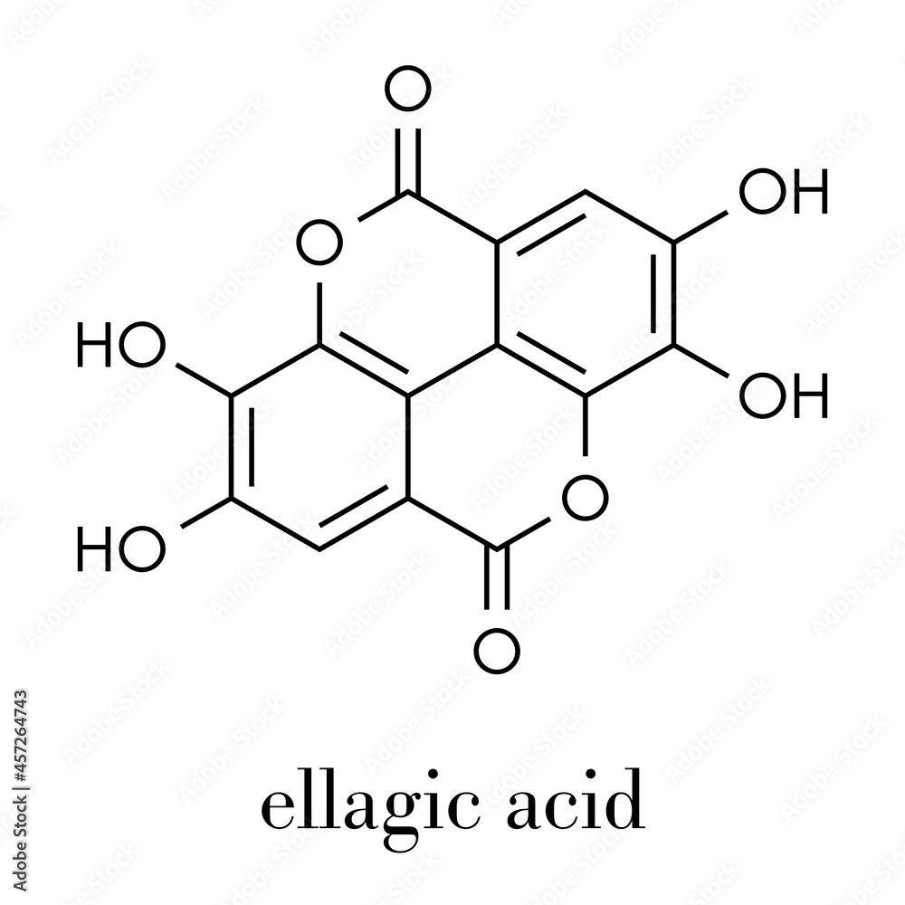 Ellagic acid dietary supplement molecule. Skeletal formula. Ellagic acid dietary supplement molecule. Skeletal formula.