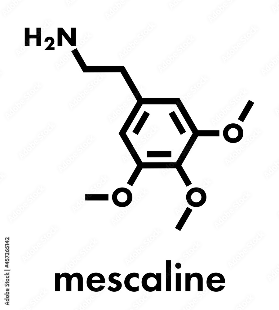 Mescaline peyote cactus psychedelic molecule. Skeletal formula. Mescaline peyote cactus psychedelic molecule. Skeletal formula.