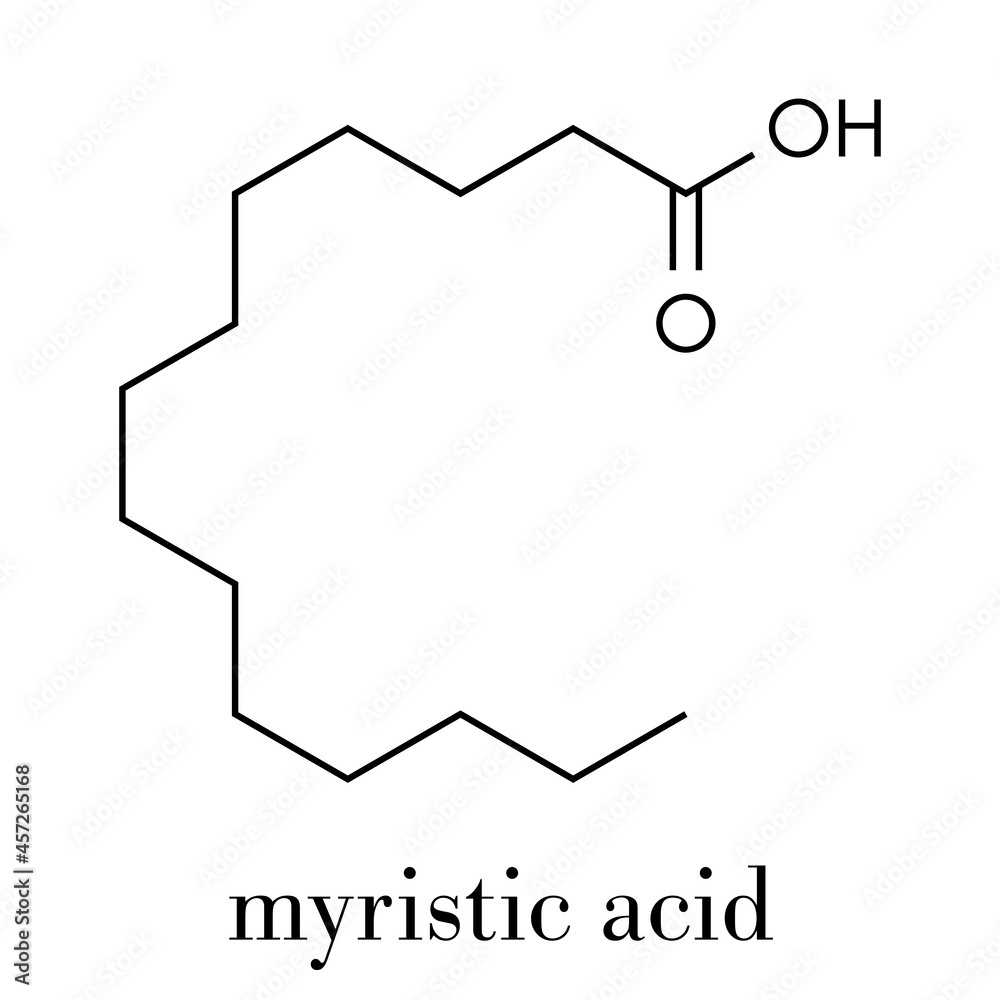 Myristic (tetradecanoic) acid saturated fatty acid molecule. Skeletal formula. Myristic (tetradecanoic) acid saturated fatty acid molecule. Skeletal formula.
