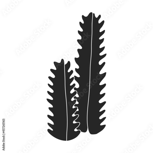 Cactus of flower vector icon.Black vector icon isolated on white background cactus of flower.