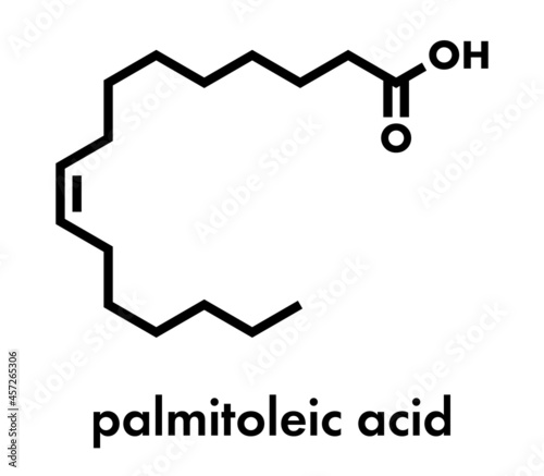 Palmitoleic acid (omega-7) fatty acid molecule. Skeletal formula.