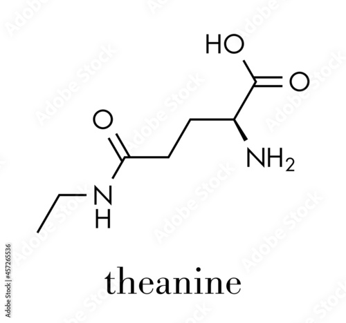 Theanine herbal molecule. Constituent of tea prepared from Camellia sinensis. Also taken as nutritional supplement. Skeletal formula.