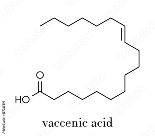 Vaccenic acid molecule. Trans fatty acid, present in animal fat and milk. Skeletal formula.