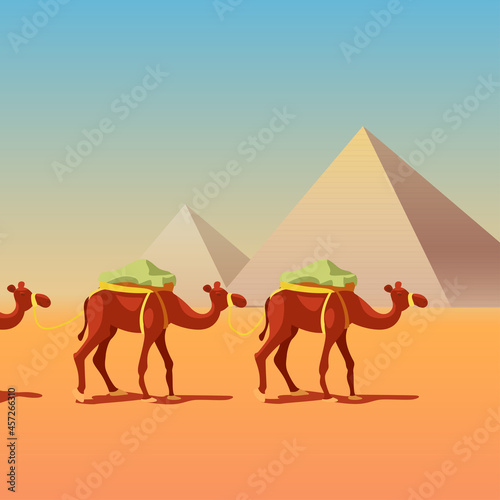 camels in caravan in front of pyramids