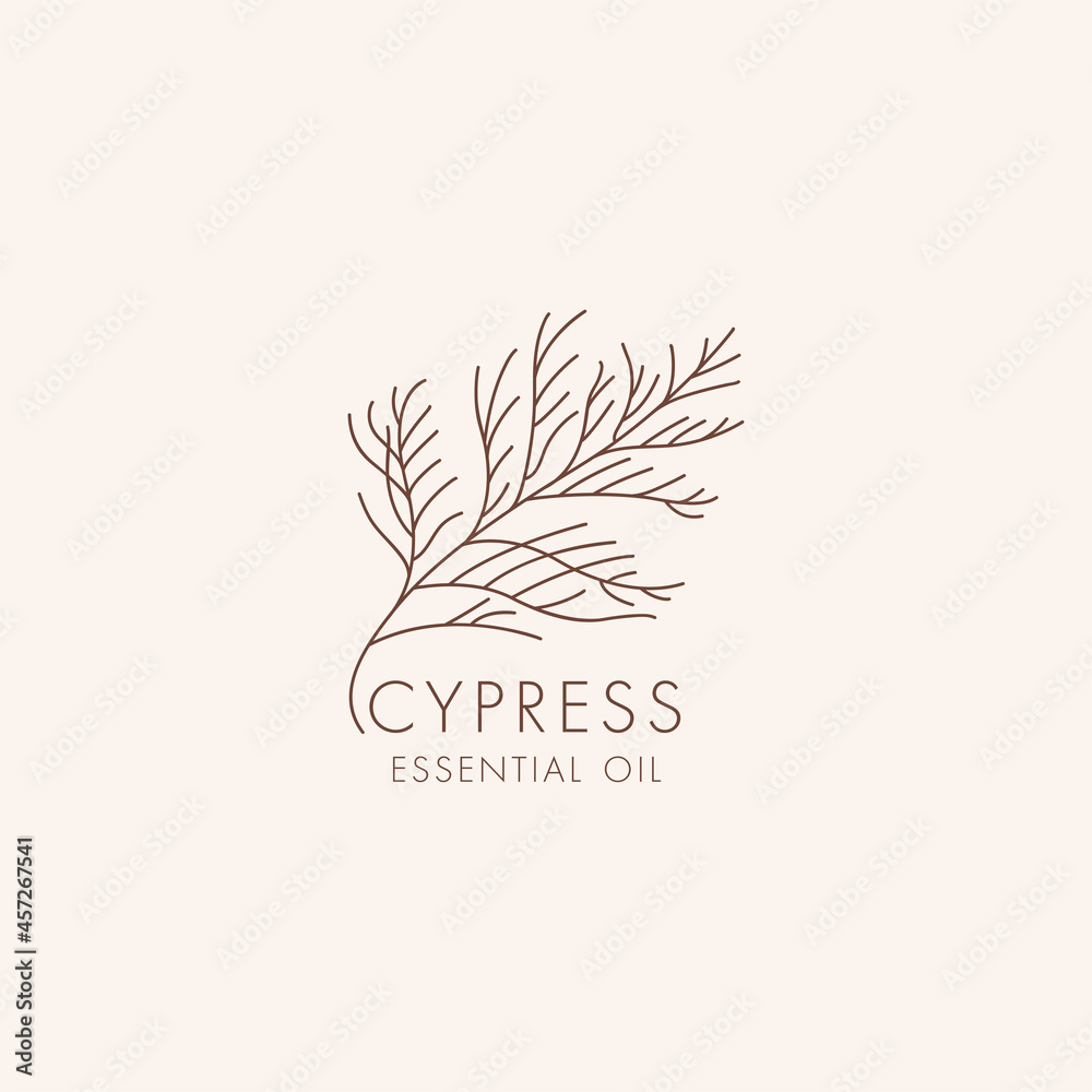 Vector linear botanical icon and symbol - cypress. Design logo for essential  oil cypress. Natural cosmetic product. Stock Vector | Adobe Stock