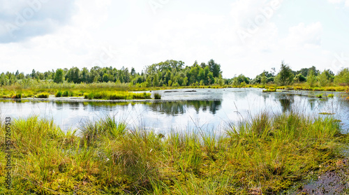 Diepholzer Moor nature reserve near Diepholz. Landscape in a raised bog.