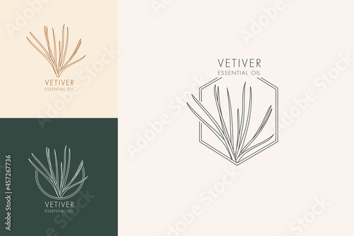 Vector linear botanical set of icons and symbols - vetiver. Design logos for essential oil vetiver. Natural cosmetic product.
