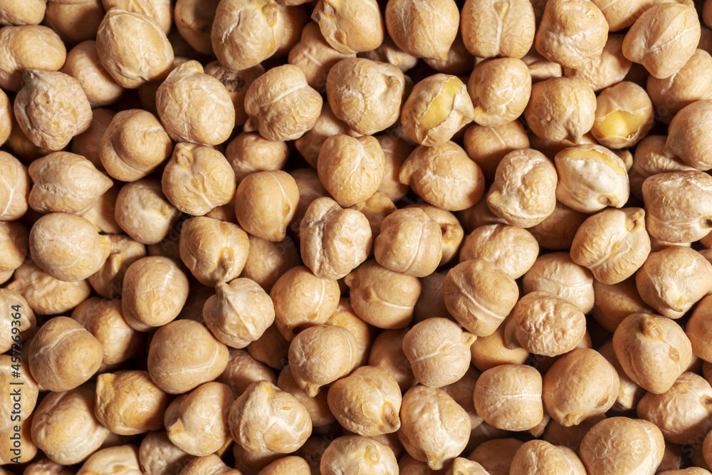 Chickpeas closeup. Texture food background. Chickpeas closeup. Texture food background.