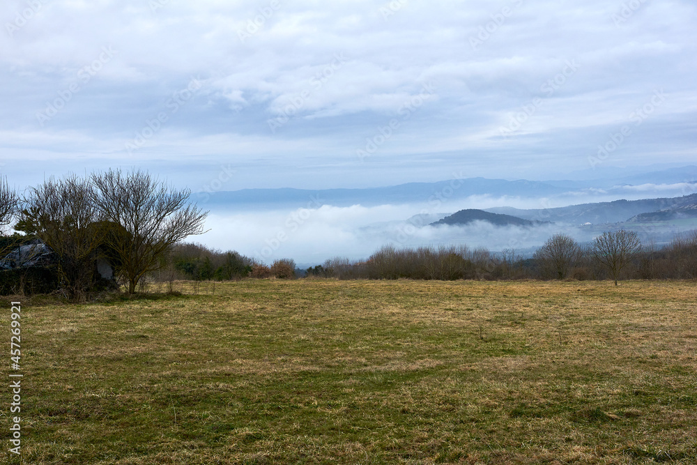 Green meadow with the mountains covered by clouds and a tree on one side