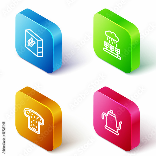 Set Isometric line Flour pack, Plant sprouts grow in the rain, Bread toast and Watering can icon. Vector