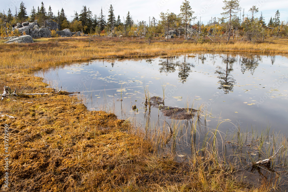 Swamp or lake with megalithic seid boulder stones, dead trees in nature reserve on mountain Vottovaara, Karelia, Russia. Swamp or lake with megalithic seid boulder stones, dead trees in nature reserve on mountain Vottovaara, Karelia, Russia.