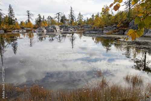 Swamp or lake with megalithic seid boulder stones, dead trees in nature reserve on mountain Vottovaara, Karelia, Russia. photo