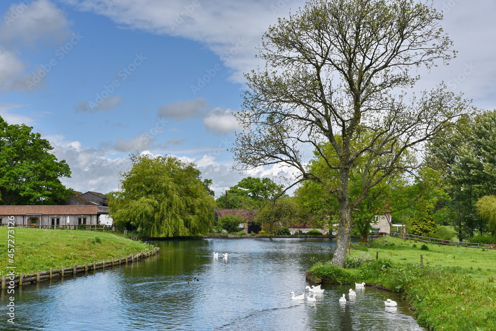 river in the park