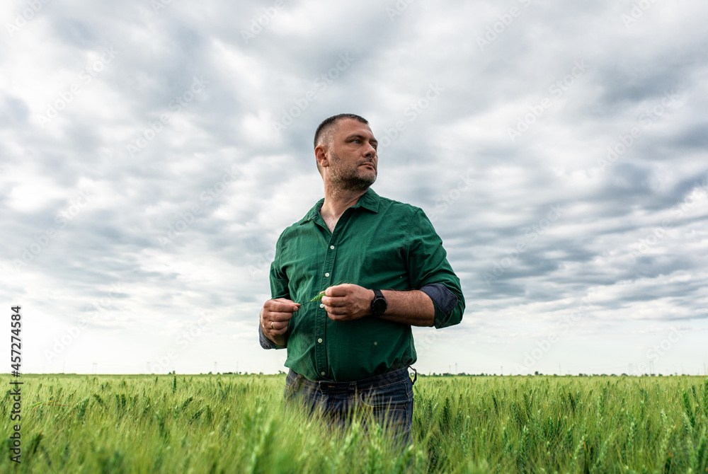 Portrait of farmer standing in wheat field. Portrait of farmer standing in wheat field.