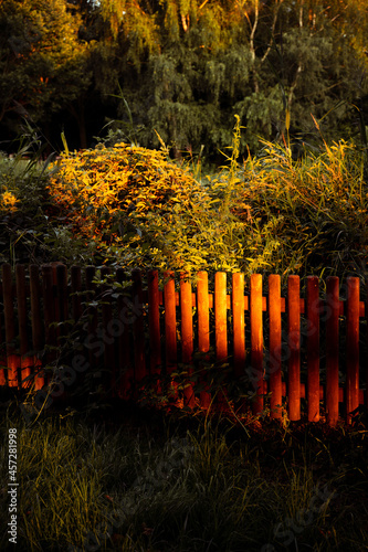 Fototapeta Naklejka Na Ścianę i Meble -  Sonnenuntergang am Zaun
