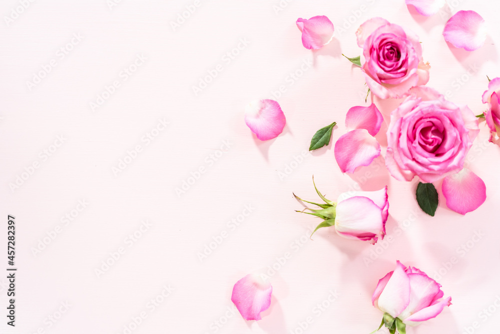 Pink roses Pink roses