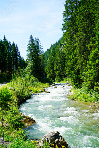 River in Tyrol  Austria near Lermoos. Landscape with a stream  surrounded by trees.