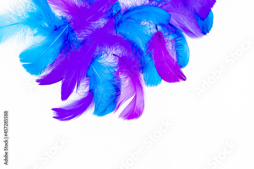Feather background - small fluffy blue feathers randomly scattered