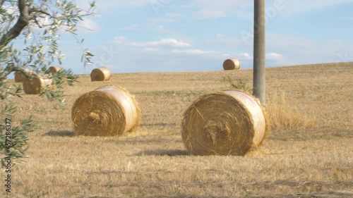Hay bales in rural Tuscany landscape