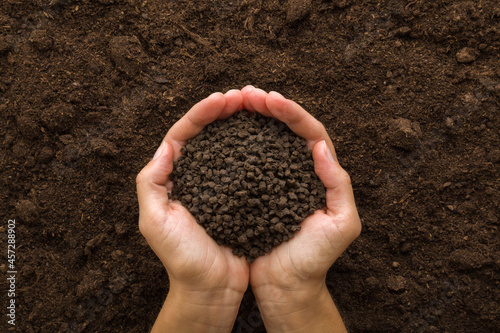 Young adult woman palms holding black granules of chicken manure on dark brown soil background. Product for root feeding of vegetables, flowers and plants. Closeup. Point of view shot. Top down view. photo