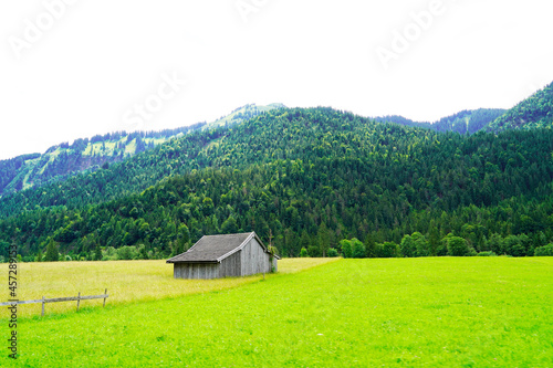 Landscape in Tyrol, Austria. Nature with mountains and trees