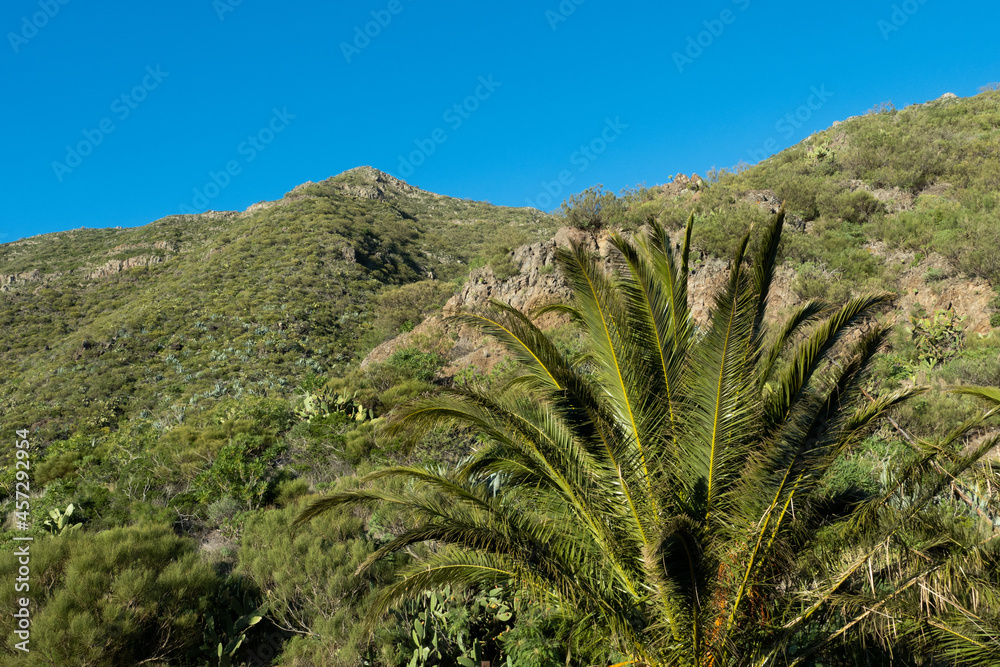 Teno Nature Park Teno Nature Park