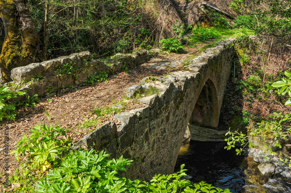 At the end of the 15th century, Queen Catherine attracted the Venetians to the construction of fortresses in Cyprus. Thus, bridges for the export of iron ore and copper appeared in Troodos     