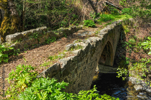 At the end of the 15th century, Queen Catherine attracted the Venetians to the construction of fortresses in Cyprus. Thus, bridges for the export of iron ore and copper appeared in Troodos 