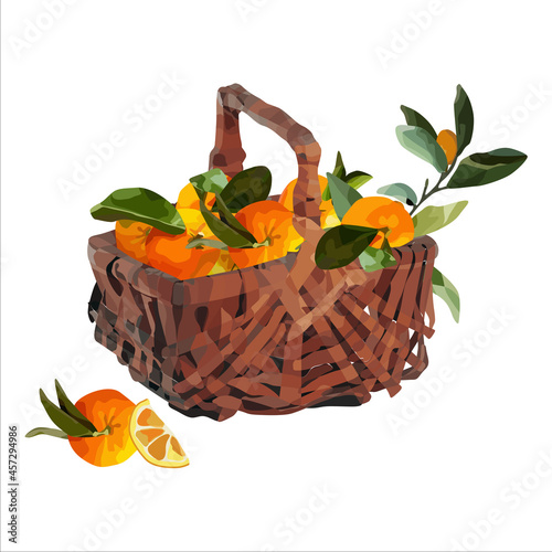 Vector basket of ripe oranges. Autumn design of crops, fruits, agriculture