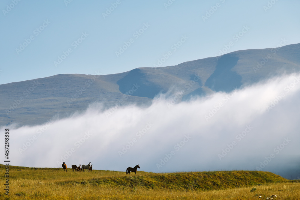 Obraz premium Chechen scenery. Chechnya, Russia