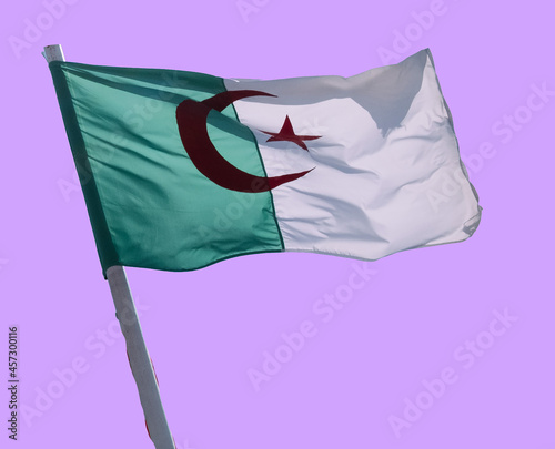 Isolated Algerian flag.  on magenta color