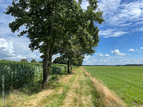 Farmland around around Bakkeveen