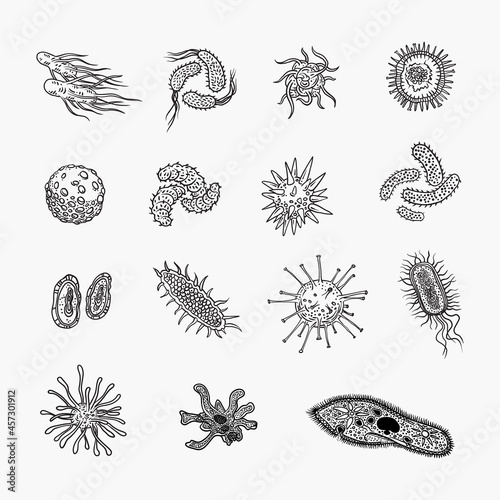 Simple set of bacteria virus icons for web design