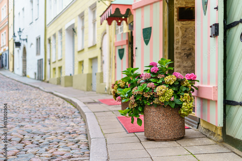 Large flower pot with flowers on the cobbled sidewalk of the medieval city.