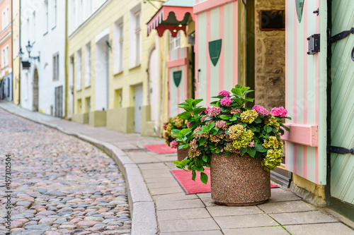 Large flower pot with flowers on the cobbled sidewalk of the medieval city.