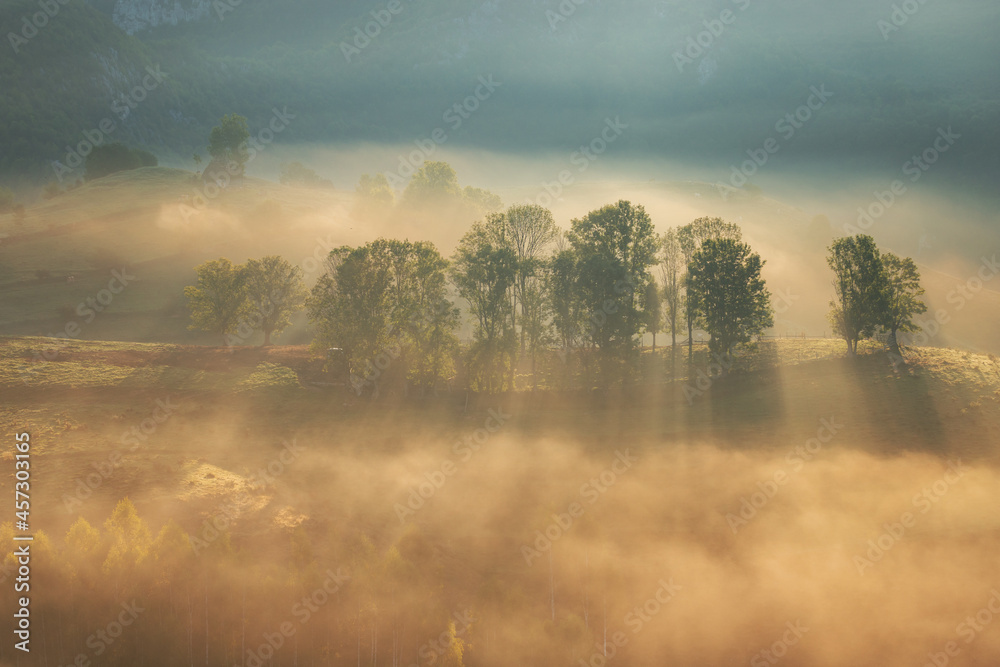 Fototapeta premium Mountain landscape with morning fog, at the forest edge, in Apuseni Mountains, Romania
