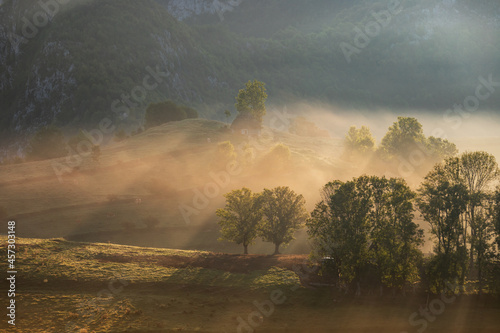 Mountain landscape with morning fog, at the forest edge, in Apuseni Mountains, Romania photo