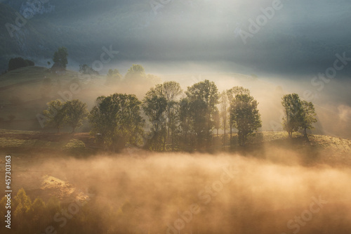 Fototapeta Naklejka Na Ścianę i Meble -  Autumn landscape of foggy forest