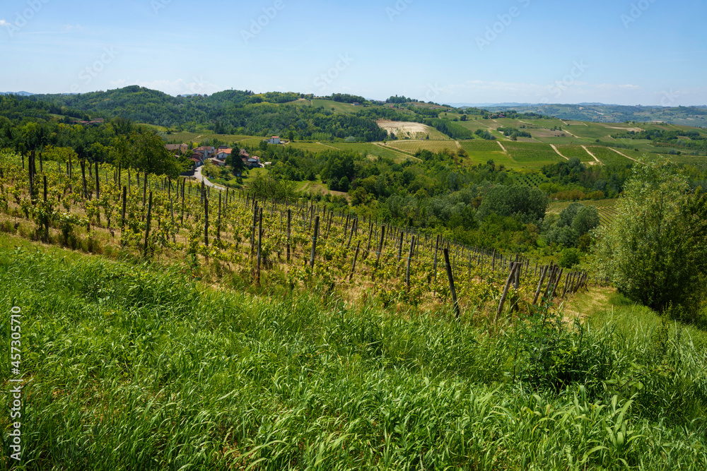 Rural landscape in Monferrato near Rivalta Bormida at May
