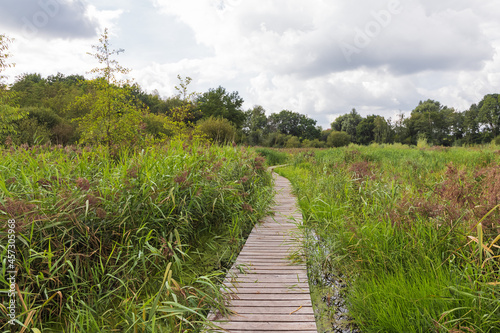 A wooden boardwalk winding through the marshland in the reserve Het Vinne