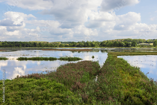 Overlooking the lake in the reserve Het Vinne in the Vicinity of Zoutleeuw