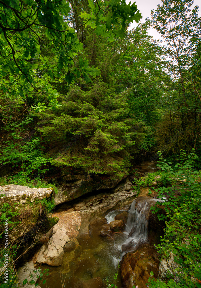 Gorges de Thurignin sur le Séran à Belmont-Luthézieu, Ain, France Gorges de Thurignin sur le Séran à Belmont-Luthézieu, Ain, France