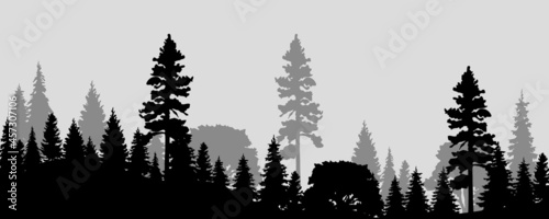 trees silhouettes background. Vector illustration