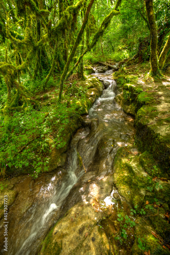 Ruisseau affluent du Séran dans les gorges de Thurignin à Belmont-Luthézieu, Ain, France Ruisseau affluent du Séran dans les gorges de Thurignin à Belmont-Luthézieu, Ain, France