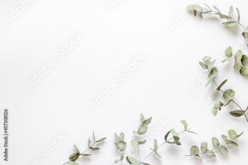 Frame floral pattern with eucalyptus leaves and branches